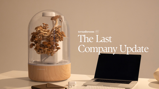 Terrashroom Last Company Update - June 24th, 2025