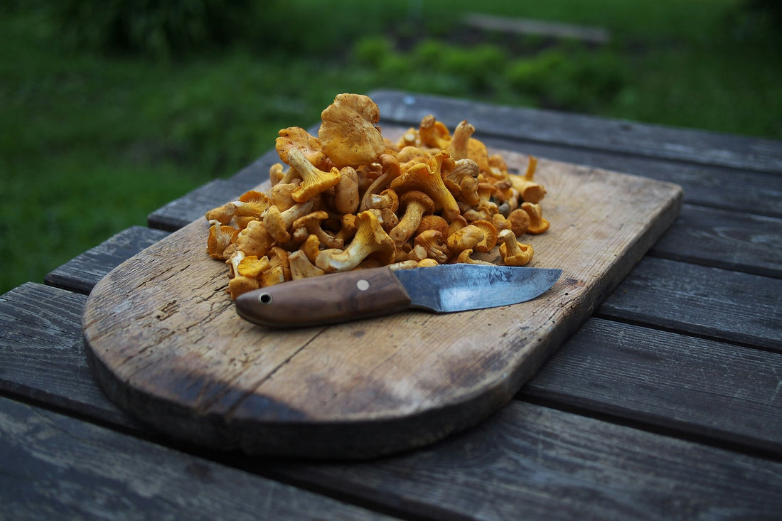 Ethical Foraging Practices for Mushrooms