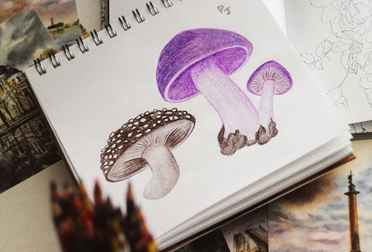 Mushroom-inspired Architecture and Design