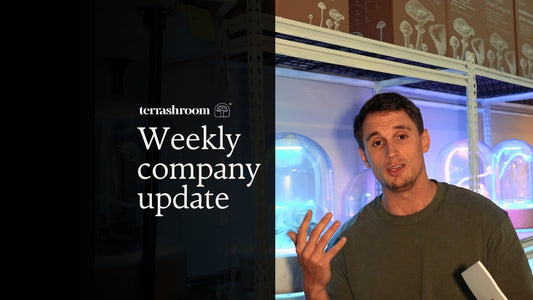 Terrashroom Weekly Customer Update - August 12th, 2024